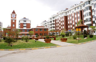 雞東概況 投資興辦實(shí)業(yè)的優(yōu)選之地