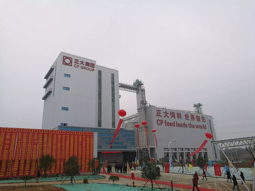新洲這個(gè)億元項(xiàng)目刷新建設(shè)速度 投資興辦實(shí)業(yè)